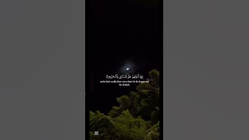 تلاوة خاشعة للقارئ الشيخ ❤️‍🩹#سعود_الشريم #القرآن_الكريم #راحة_نفسية #muslim #اكسبلور