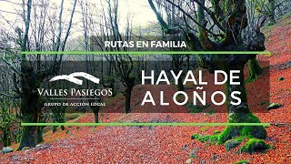 Cantabria con niños 🧙‍♂️ 🧝‍♀️  ¡El hayal mágico de Aloños! en Valles Pasiegos 🧙‍♂️ 🧝‍♀️