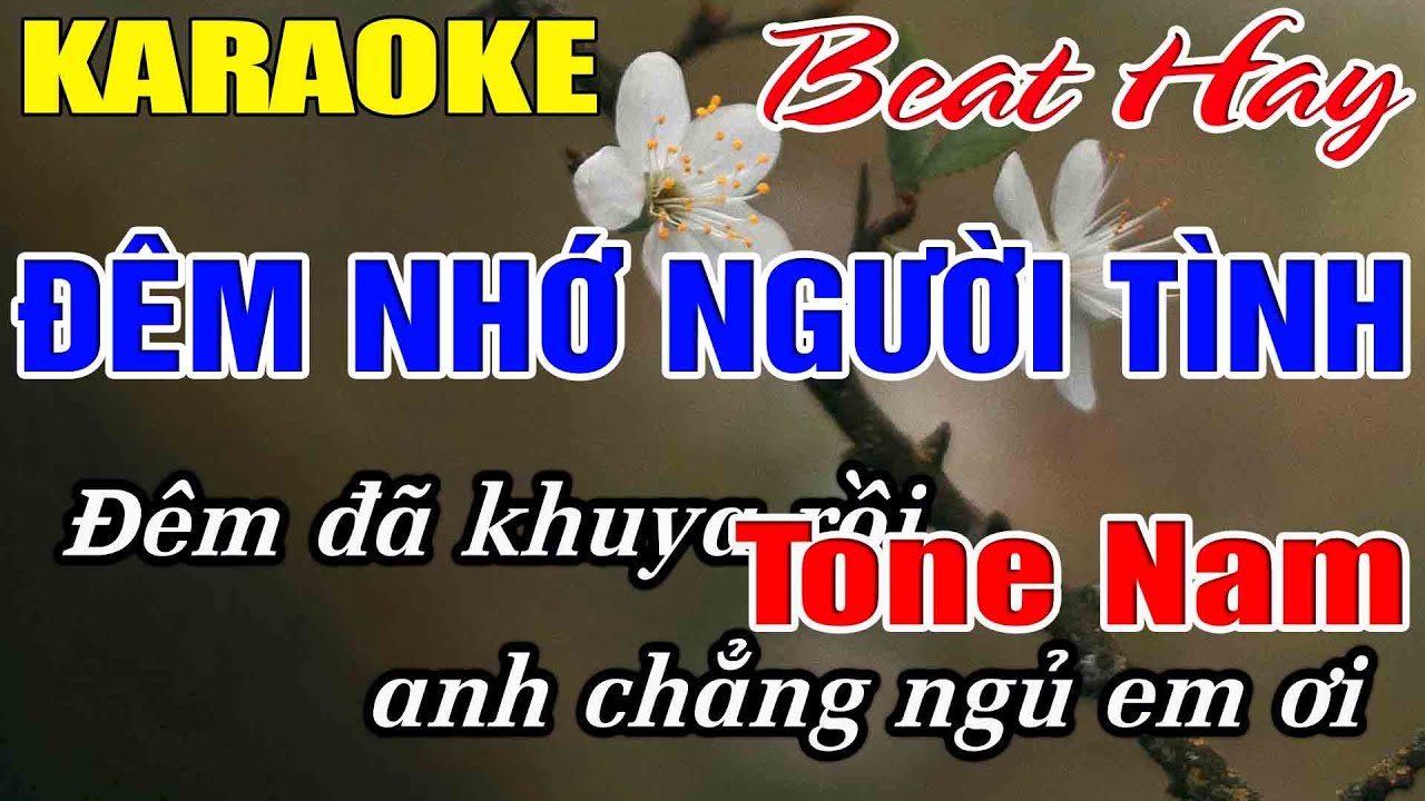 Đêm Nhớ Người Tình Karaoke Tone Nam Karaoke Hải Nhạc Sống 2026 - Beat Mới