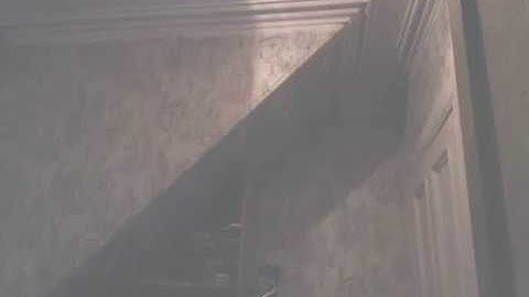 EVP Spirit Video By: Les A. G. Durno