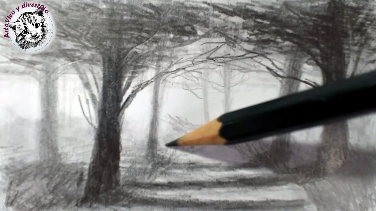Como Dibujar un Bosque y lograr Profundidad y Atmosfera Tecnica de Dibujo a  lápiz - thptnganamst.edu.vn