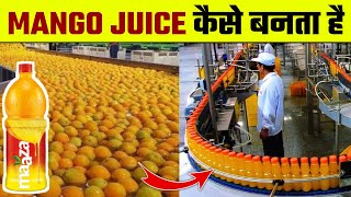 देखिए Factory में Maaza कैसे बनता है |‌ Maaza Kaise Banta Hai | How it's Made Mango Juice screenshot 4