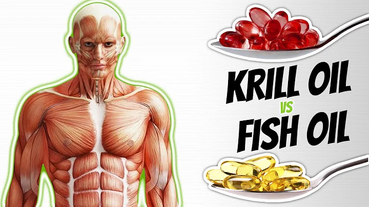 KRILL OIL vs FISH OIL: Which Omega 3 Supplement Is...