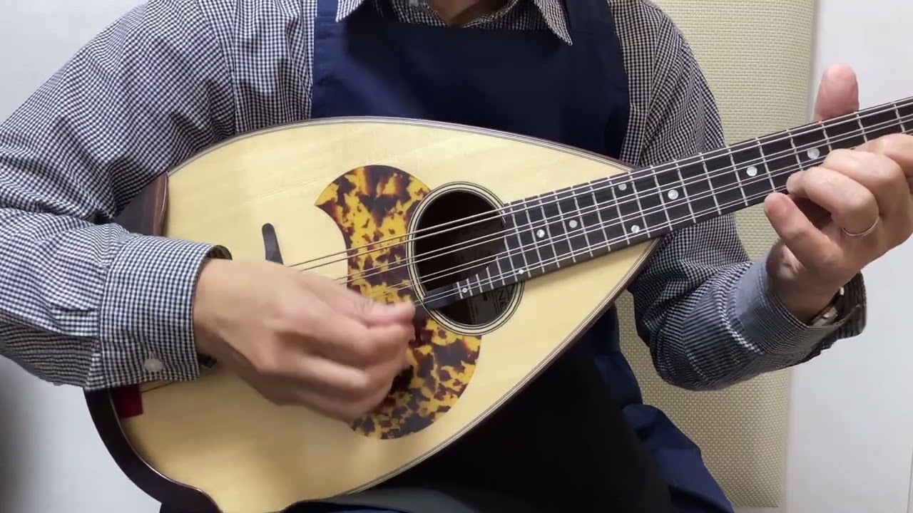 宮野厚志 MD-2【マンドラ】 ミヤノアツシ 【 丸井錦糸町店 】 | 島村