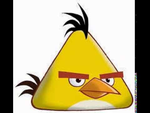 Angry birds chuck