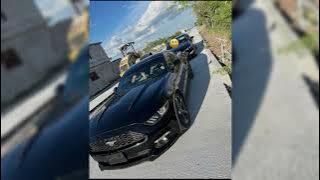 Chiricuazo v tretica (Musik y el polar)