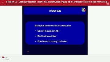 Ischemia reperfusion injury and cardioprotection