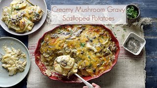Creamy Mushroom Gravy Scalloped Potatoes - Amazing Potatoes!
