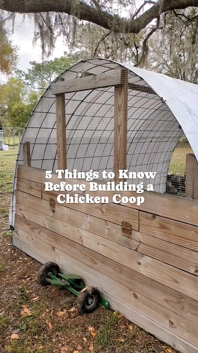 How to build a chicken coop 🐓