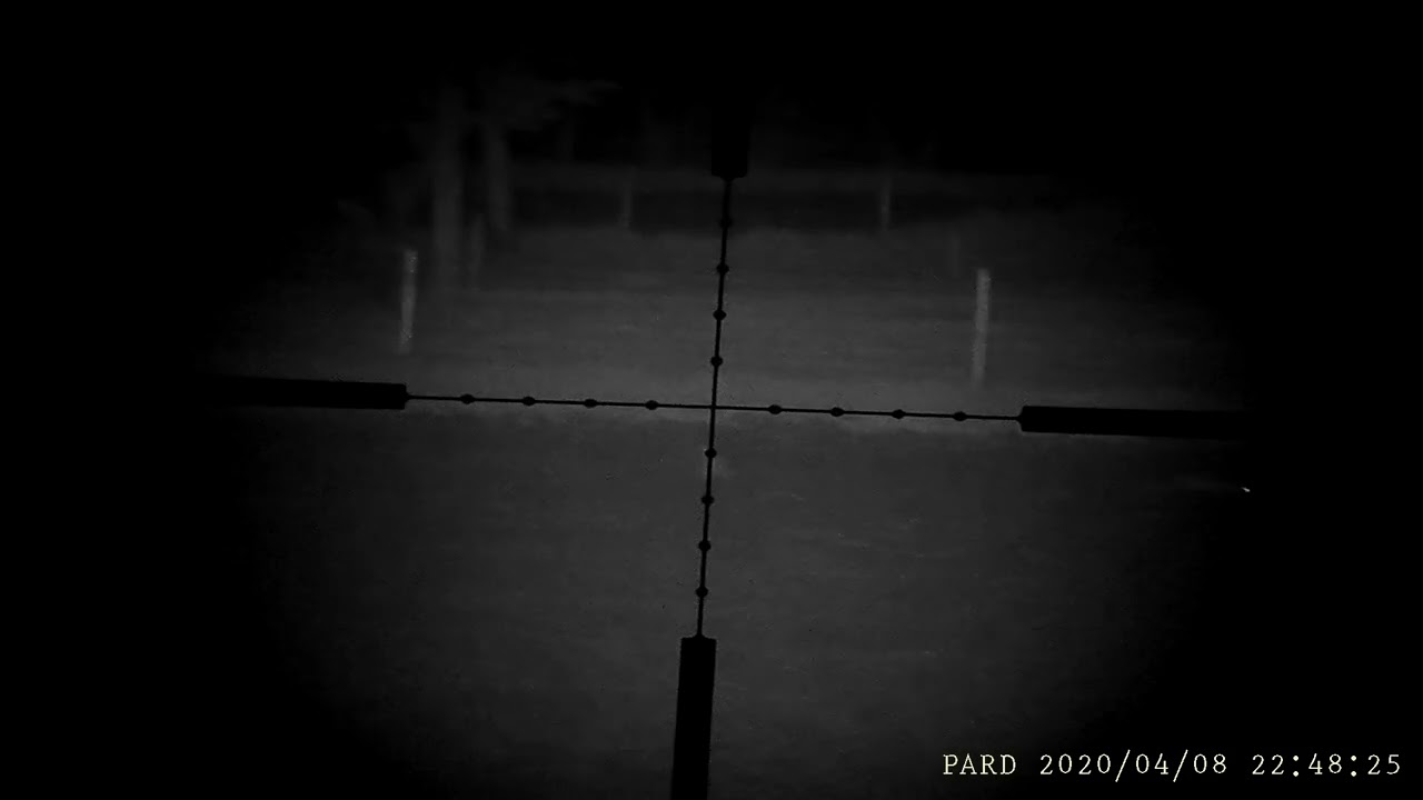 Pard 007 16mm on Bushnell Elite 6500 4.5-30-x50 scope - 015 Hares Running