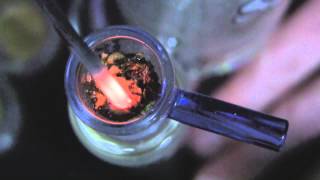 tokin daily: hash-pudding
