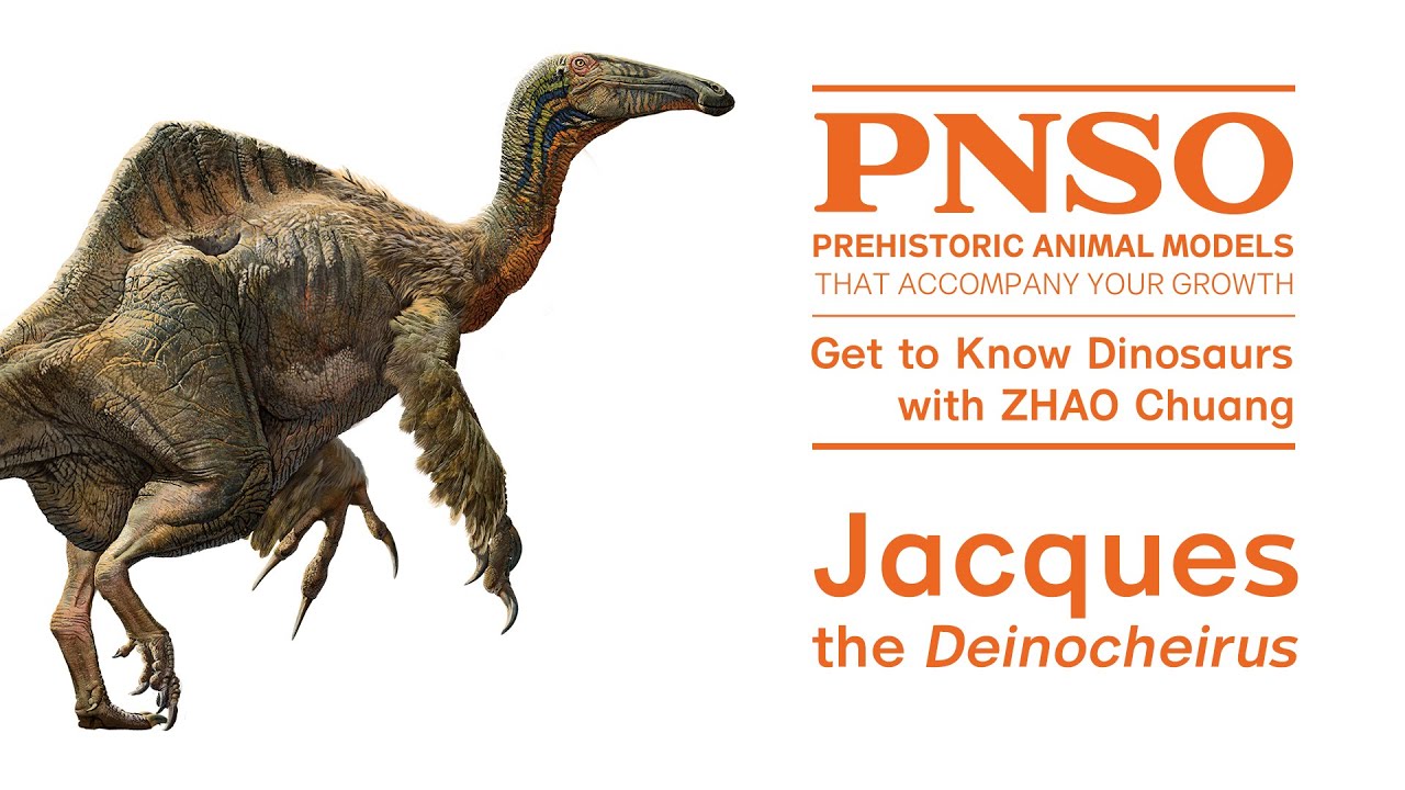New Release  Jacques the Deinocheirus Scientific Art Model from PNSO  Prehistoric Animal Models Series – PNSO