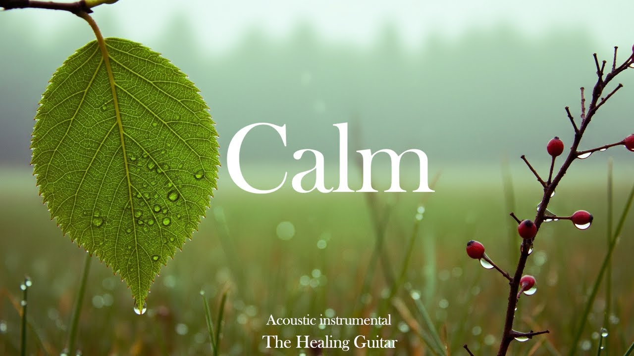 Calm Acoustic Guitar Ambient Music for Stress Reduction, Sleep Aid & Concentration 🍃