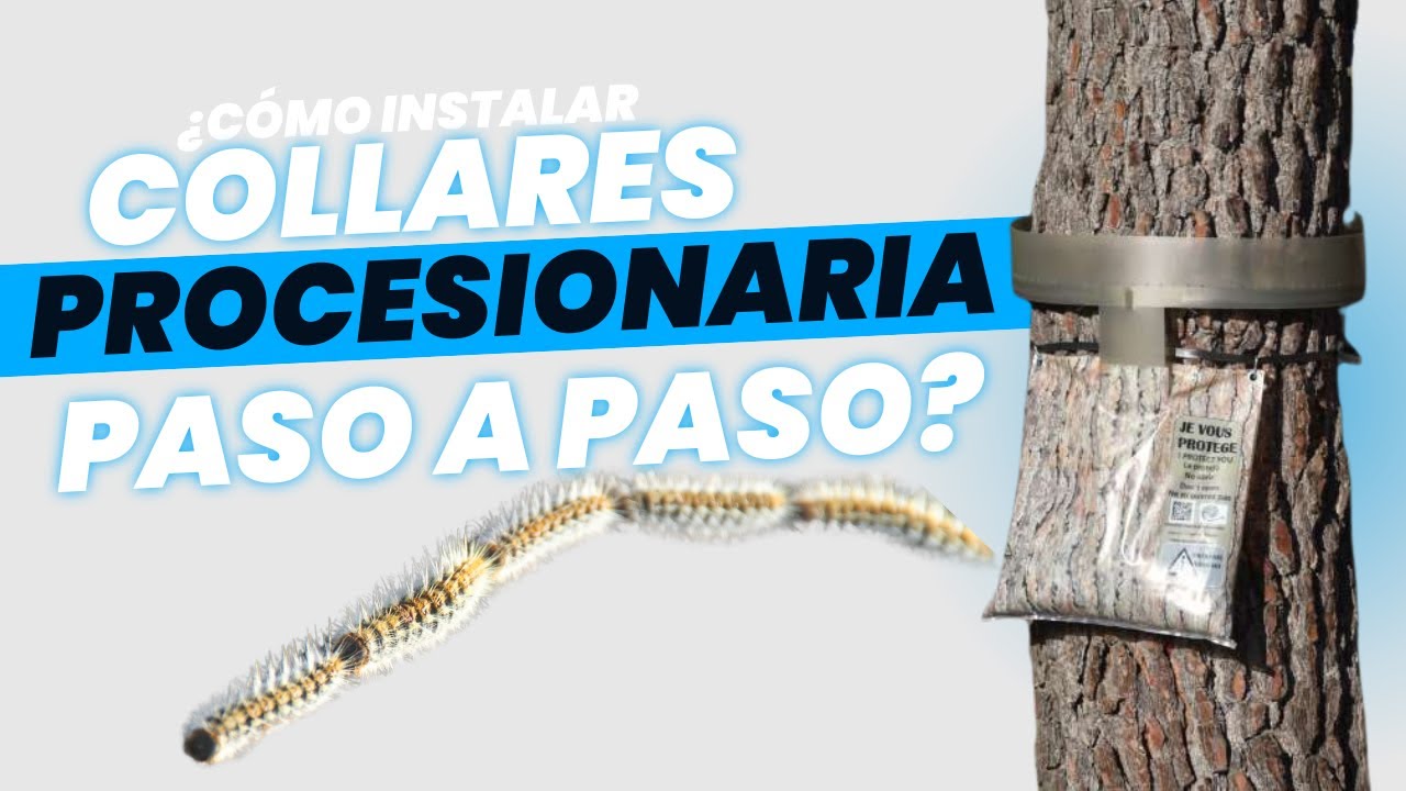 Trampas para orugas de árboles - Top Ventas Recomendado