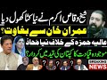 Sheikh Waqas Akram Betrayed Imran Khan? | New Trouble for Aaliyah Hamza