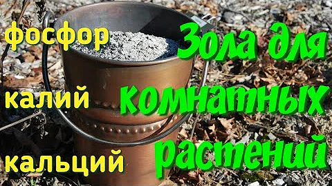 Польза золы для цветов! Как проводить подкормки. Использование золы для комнатных растений!