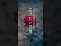 人の事で疲れた人に【届けたい言葉】 #名言 #言葉 #愛情 #自己肯定感