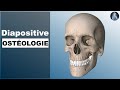 Ostologie  os du crne et de la face  prothse dentaire  cours 