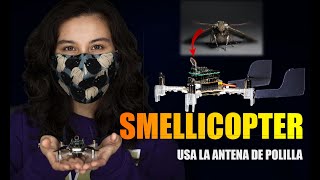 Smellicopter: el dron que usa una antena de polilla para detectar olores by RevolQuant 156 views 3 years ago 50 seconds