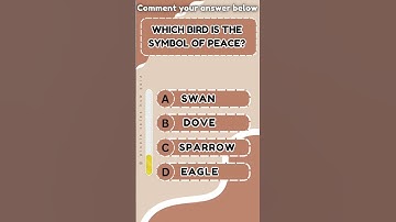 The ULTIMATE General Knowledge Trivia Quiz! #quiz #trivia #genralknowledge