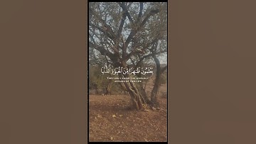 #القرآن_الكريم #القرآن_الكريم #quran #آيات #ايات_قرانيه_قصيره #متابعه_ولايك_فضلا_وليس_امرآ #اكسبلور