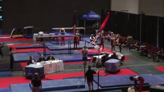 Mauricio Gago  - High Bar - 2017 HNI Team Cup