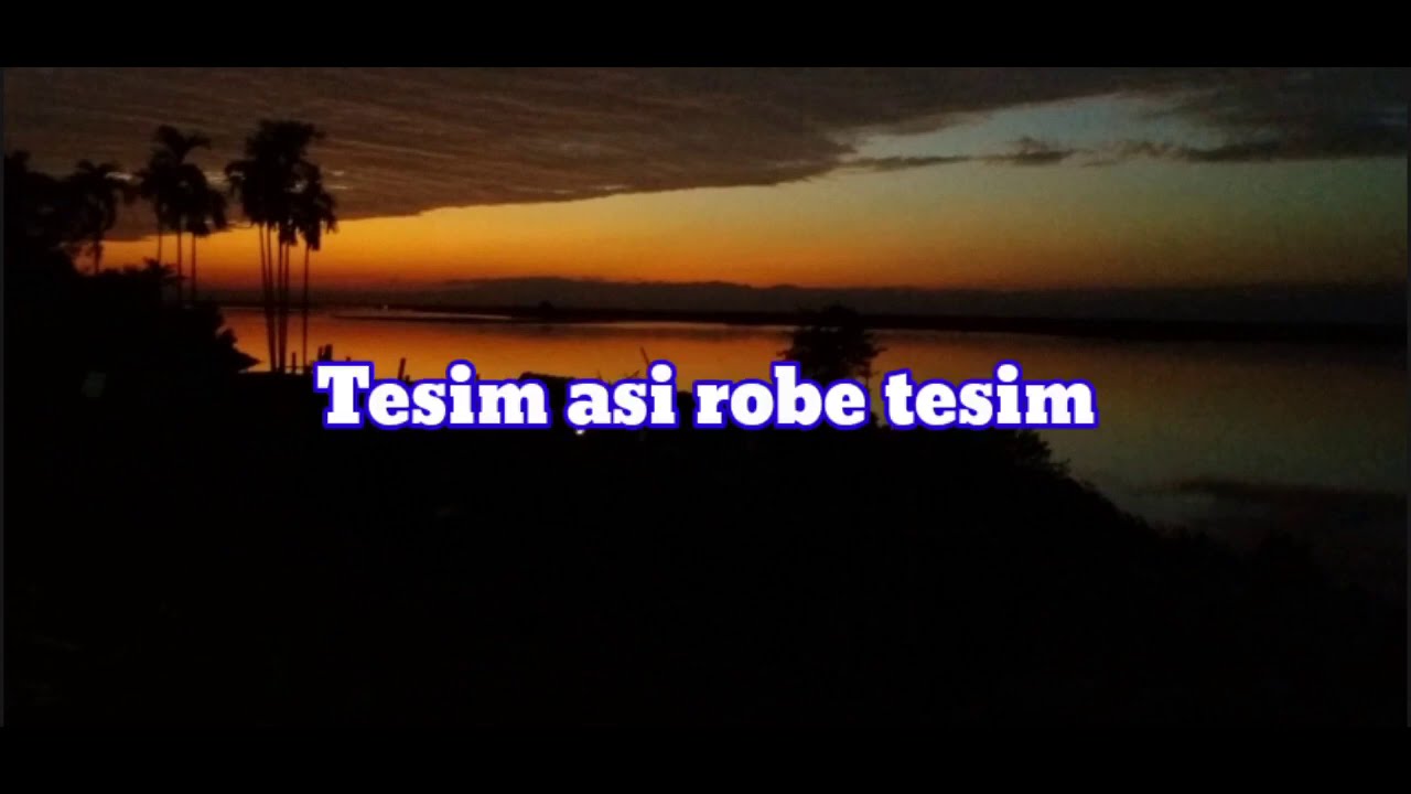 Tesim asi robe tesim  kamin Ering  lyric  Adi song  Arunachal Pradesh