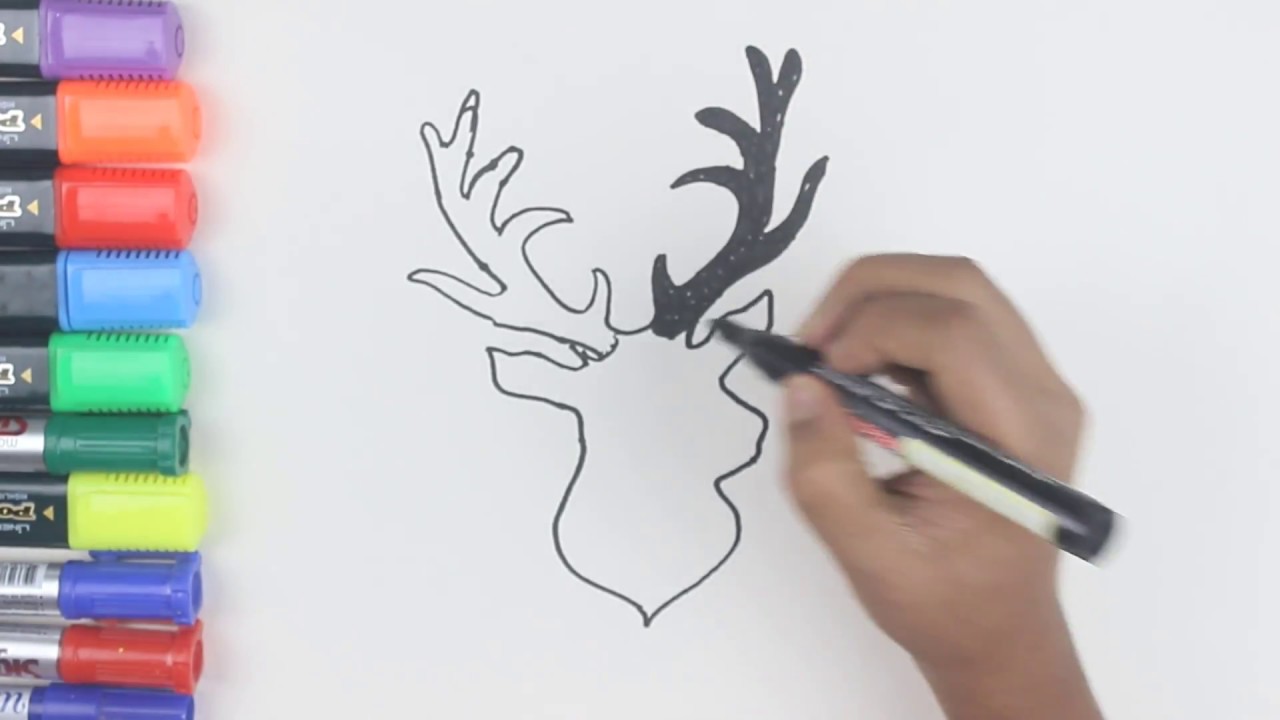 How To Draw And Color Deer Coloring Pages With Animals Art And Coloring Videos For Kids Youtube