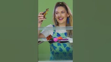 Will a Dinosaur SINK or FLOAT? | Michal and Moe