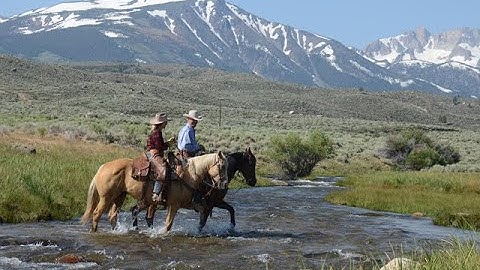 Historic, beautiful Hunewill Ranch