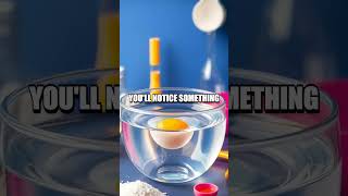 The Floating Egg Experiment: Density Demonstration