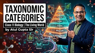 Taxonomic Categories | The Living World Class 11 Biology #CBSE#education #neet #ncert #chapter1