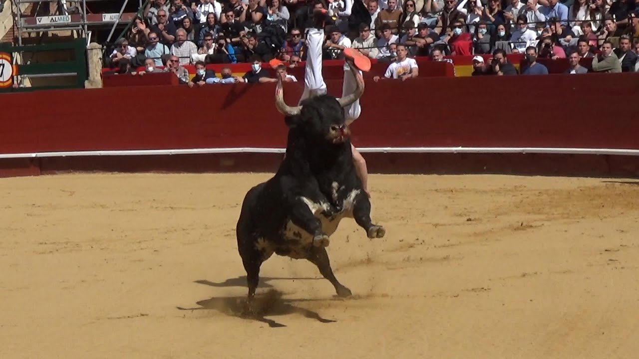 Valencia 2022 XXV C. de Fallas Grupo1º