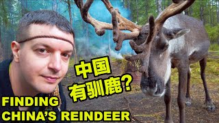 I Find China's Reindeer Tribe in INNER MONGOLIA / 中国有驯鹿？？？