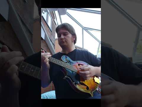 MANDOLIN