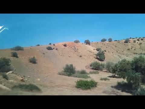 معانات قريات تيارت فالعشرية السوداء ذبحو زوج أفراد ساميين فالدولة وعلقوهم فالشجرة