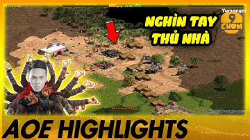 GẶP PERSIAN ĐỘT BIẾN - Chim Sẻ sử dụng kỹ năng THỦ NHÀ THẦN THÁNH | AoE Highlights