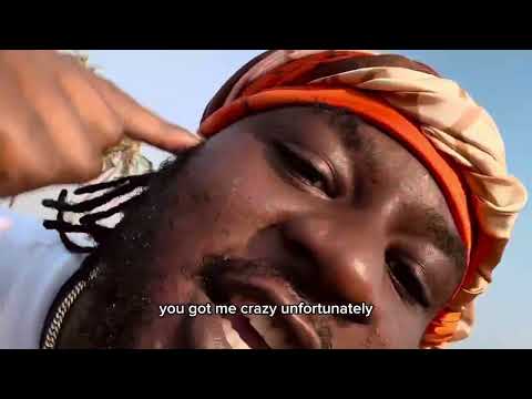 Zar Made Me Do Visuals 2