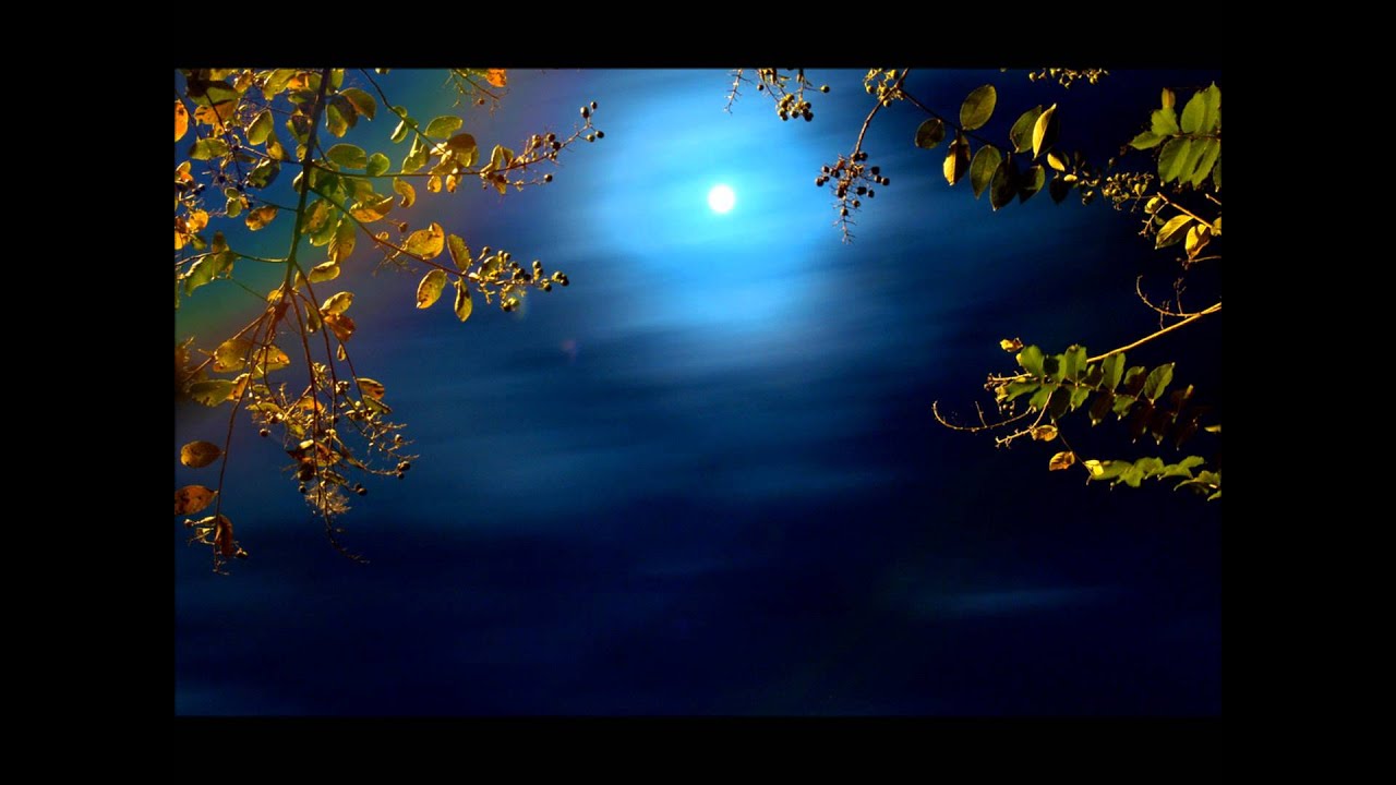Song to the Moon from Rusalka by Dvorak. Sung in English by Yvonne Kenny