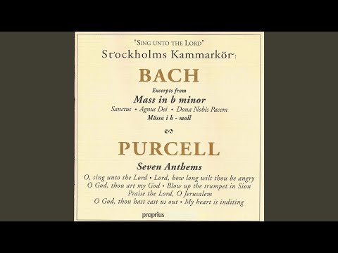 Mass in B Minor, BWV 232 (Excerpt) : Sanctus