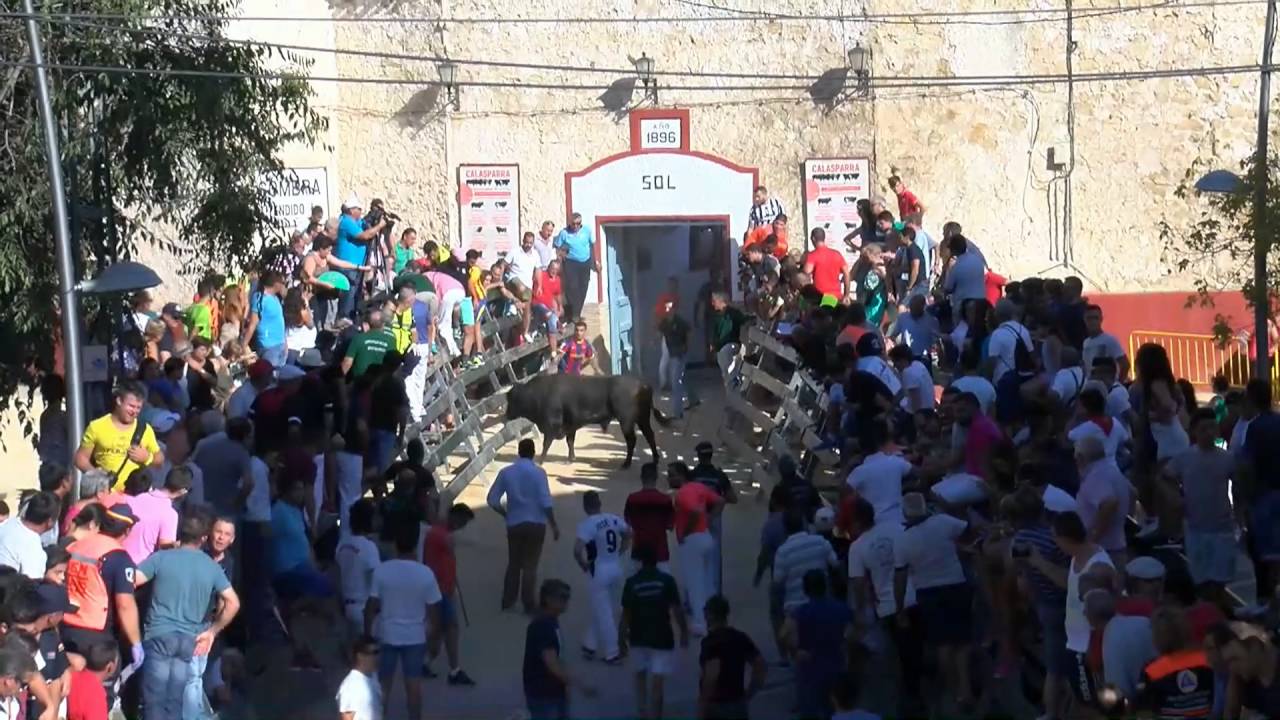 1º Encierro Calasparra 2016