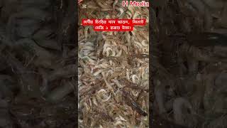 সিলেটে দেশীয় চিংড়ির এমন দাম আগে দেখেননি