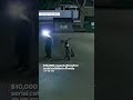 Reward offered for serial cat killer in Florida #shorts