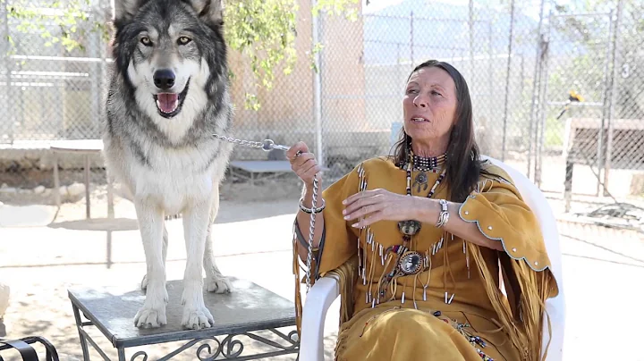 RIGHT NEXT DOOR: Tonya Littlewolf, Wolf Whisperer