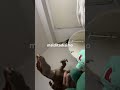 SOS re tonto(lo leíste enserio tt)