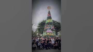 TTHCS PHÙ ĐỔNG, thăm quan 2 địa điểm, BẠCH ĐẰNG GIANG, công viên Rồng Hạ Long