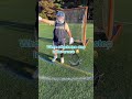 No trespassing here ⛔️ #Lacrosse
