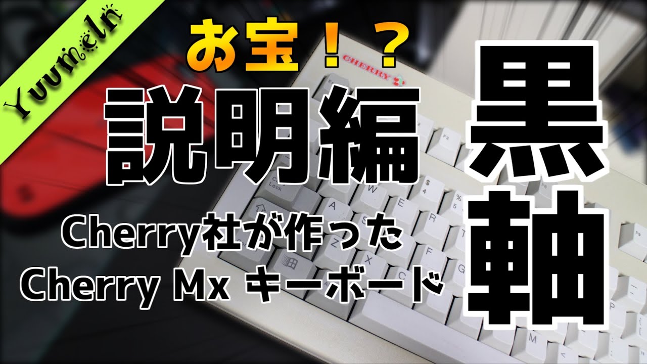 【黒軸】レア物な黒軸がやってきた　~前編~
