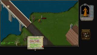 Ultima Online Razor ClassicUO Friend as an Ally
