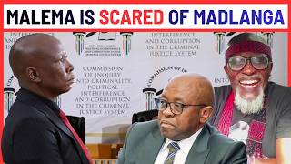 EFF Supporters LOSE IT as Citizen EXPOSES Malema's Panic